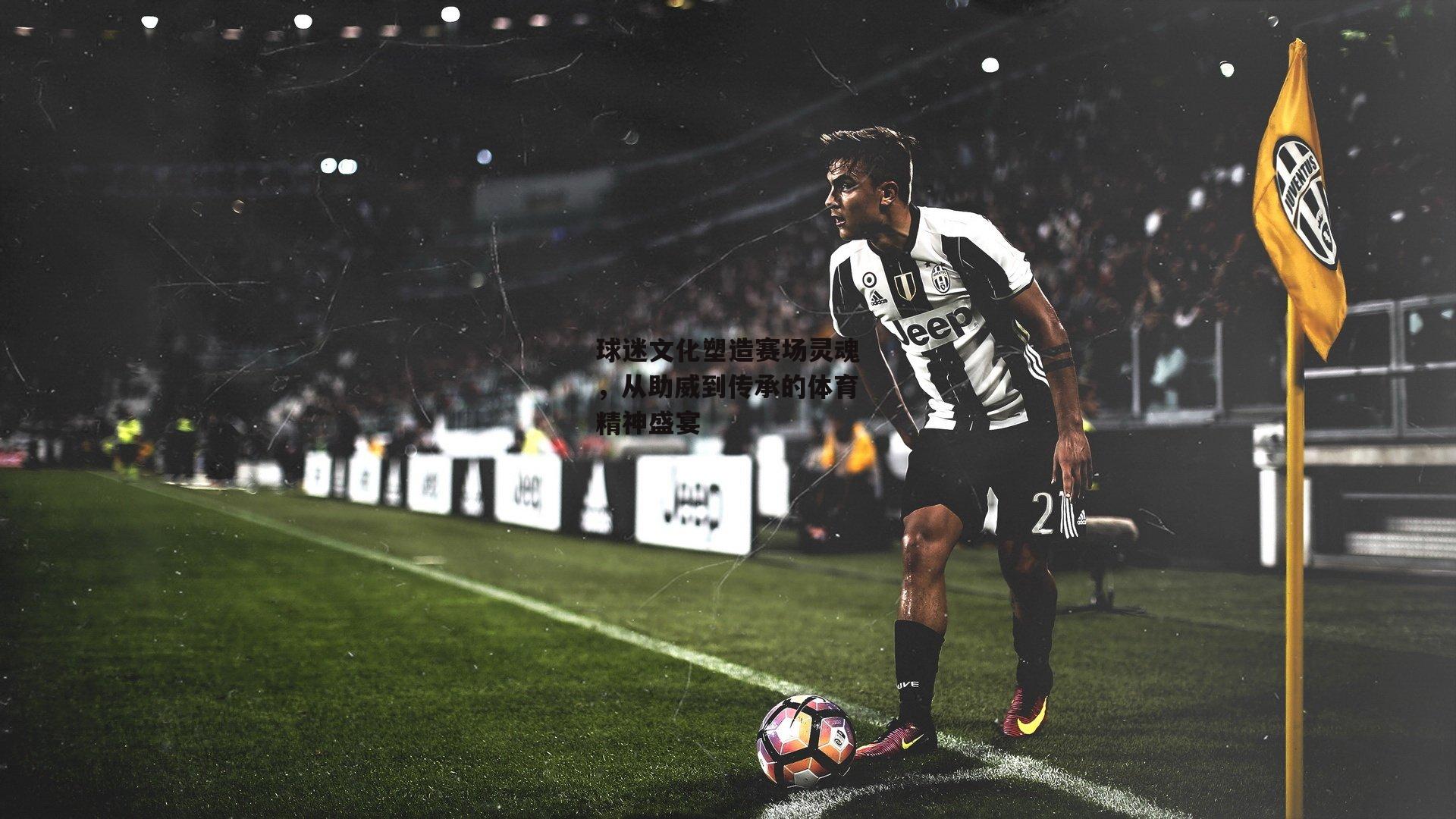 球迷文化塑造赛场灵魂,从助威到传承的体育精神盛宴