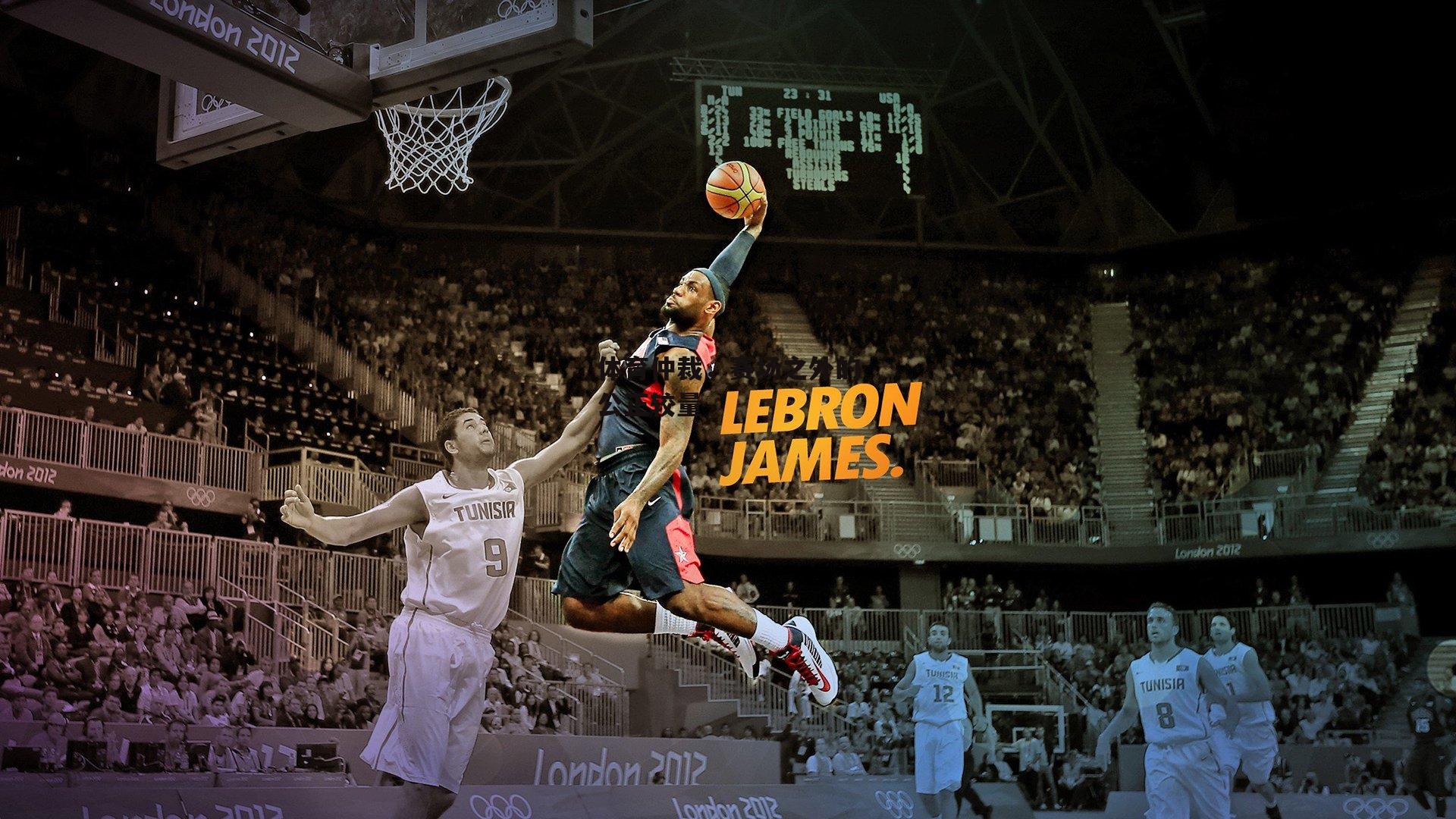 体育仲裁，赛场之外的公正较量【杏彩体育入口】